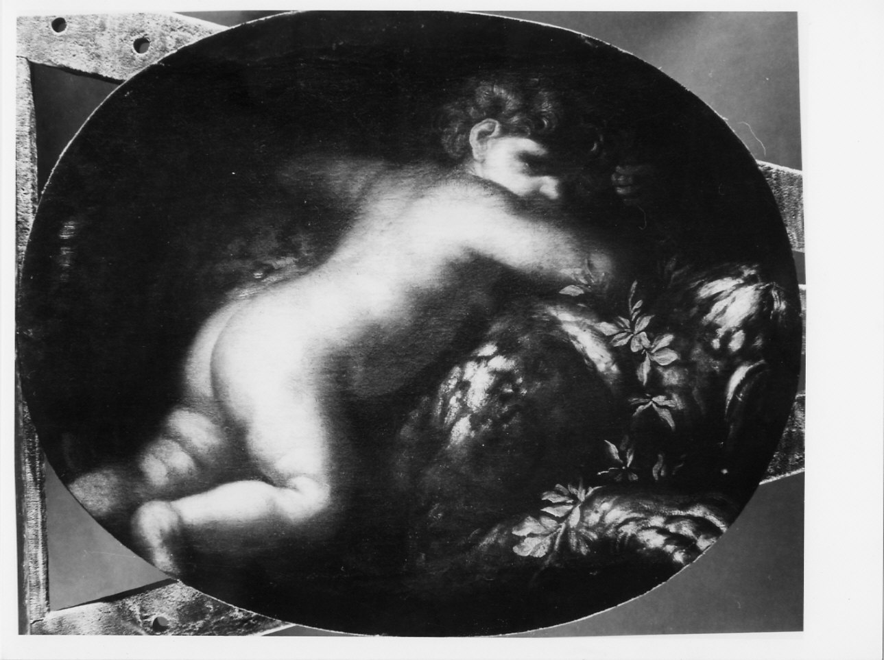 Putti (dipinto, opera isolata) di Piola Domenico (metà sec. XVII)