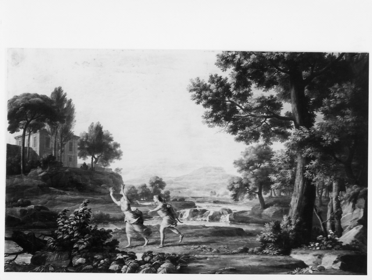 Apollo e Dafne (dipinto, opera isolata) di Bacigalupo Giuseppe detto Baccigalupo (ultimo quarto sec. XVIII)