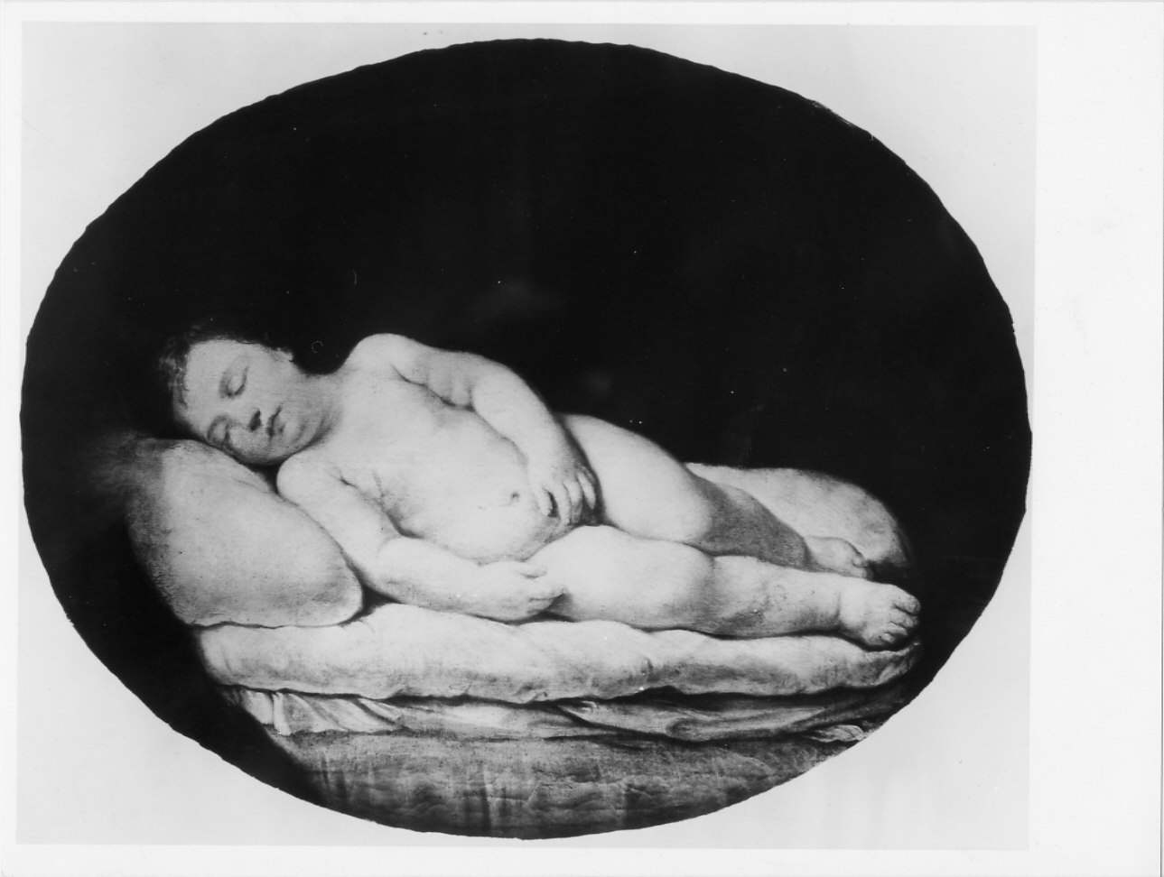 Putto che dorme (dipinto, opera isolata) di Reni Guido (secondo quarto sec. XVII)