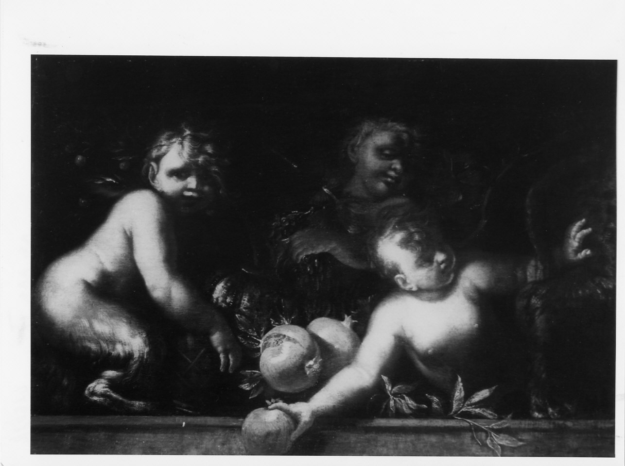 Satiri (dipinto, opera isolata) di Piola Domenico (metà sec. XVII)