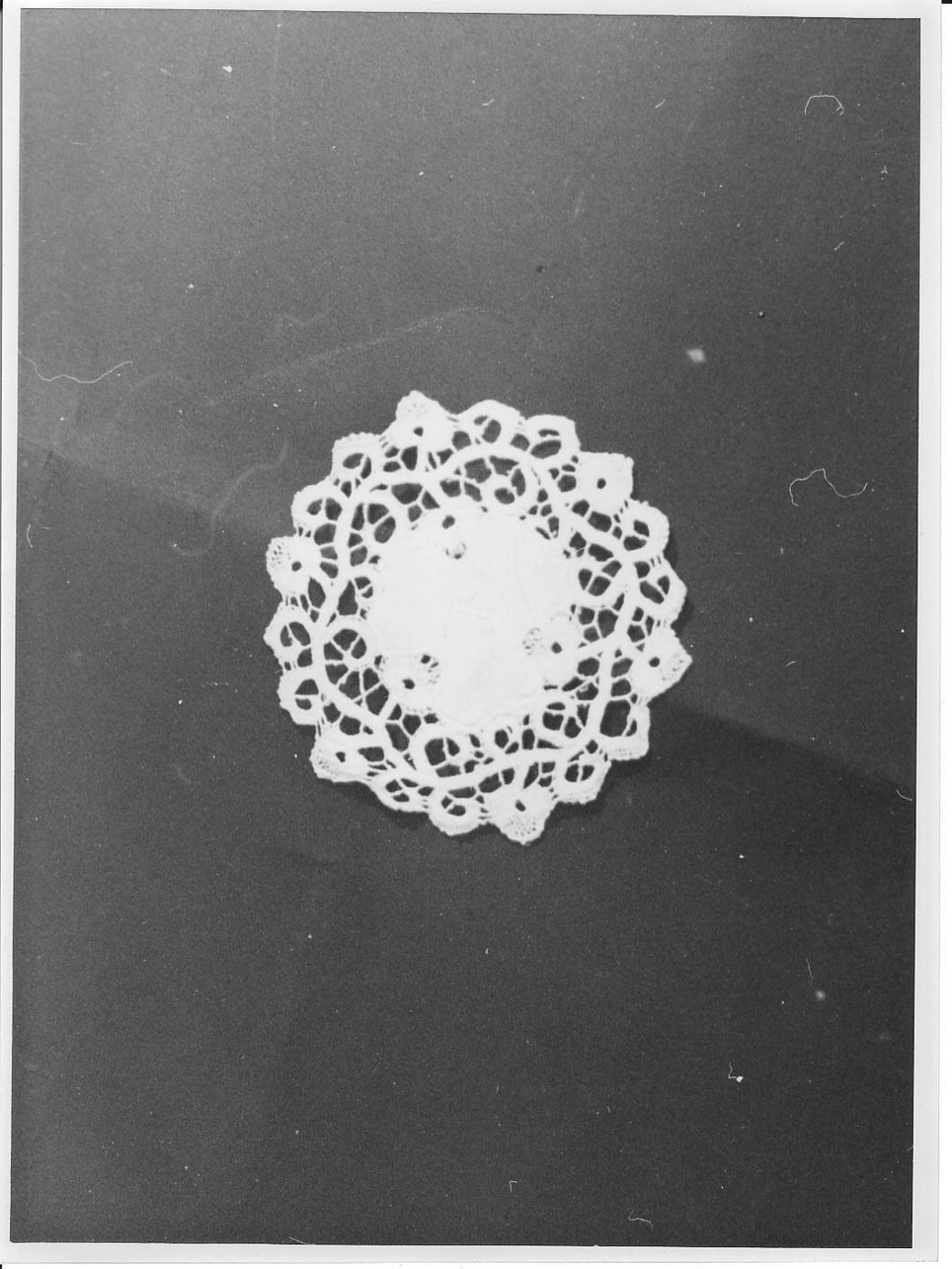 motivi decorativi vegetali (palla di calice, opera isolata) - manifattura ligure (inizio sec. XX)