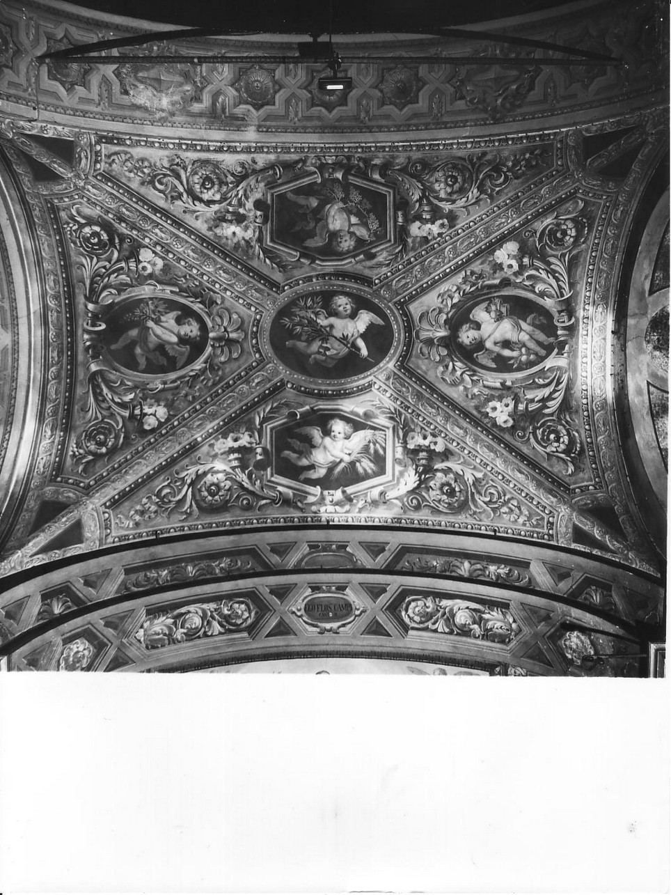 angioletti e frutta (decorazione pittorica, complesso decorativo) di Ivaldi Tommaso (sec. XIX)