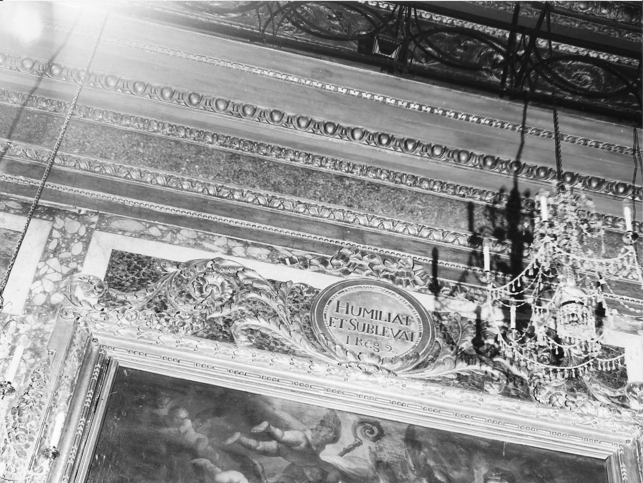 motivi decorativi vegetali (cornice, opera isolata) - bottega ligure (fine sec. XVIII)