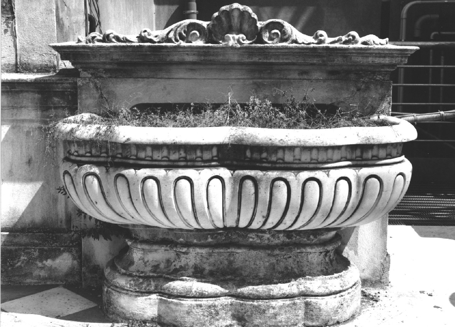 vasca, serie - ambito ligure (seconda metà sec. XVII)