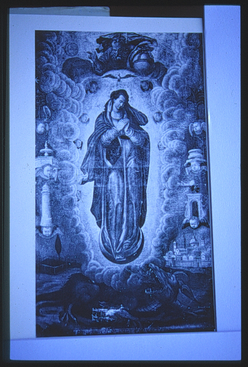 IMMACOLATA CONCEZIONE (dipinto, opera isolata) di Marchiano Paolo Gerolamo (sec. XVI)