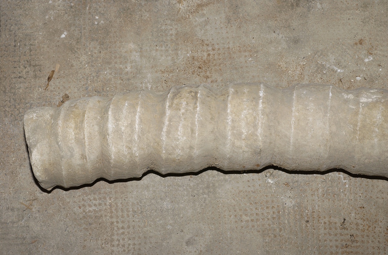 colonnina, frammento - bottega ligure (metà sec. XIV)