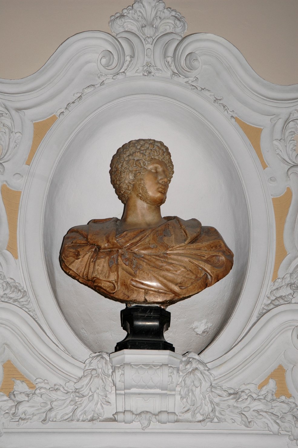 Busto maschile (busto, opera isolata) - ambito italiano (prima metà sec. XVIII)