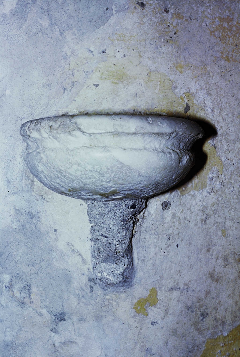 acquasantiera da parete, opera isolata - ambito ligure (seconda metà sec. XVI)