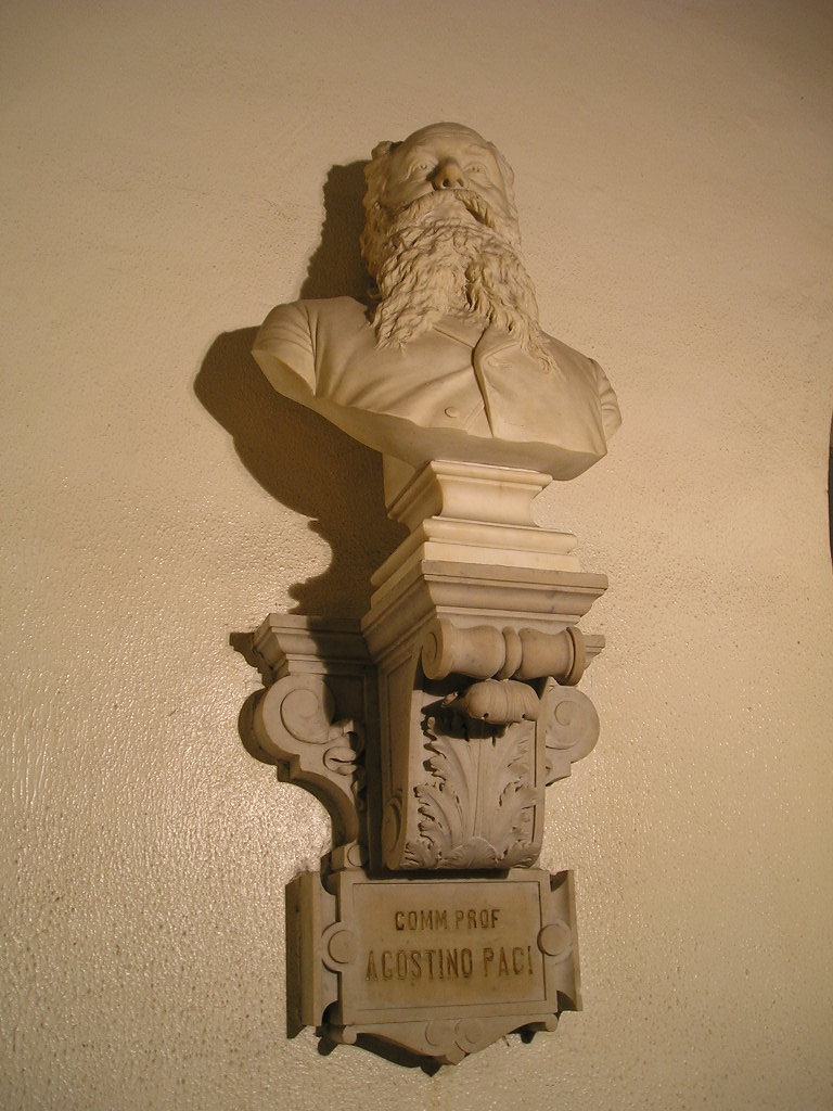 Ritratto d'uomo (busto, opera isolata) - produzione toscana (prima metà sec. XX)