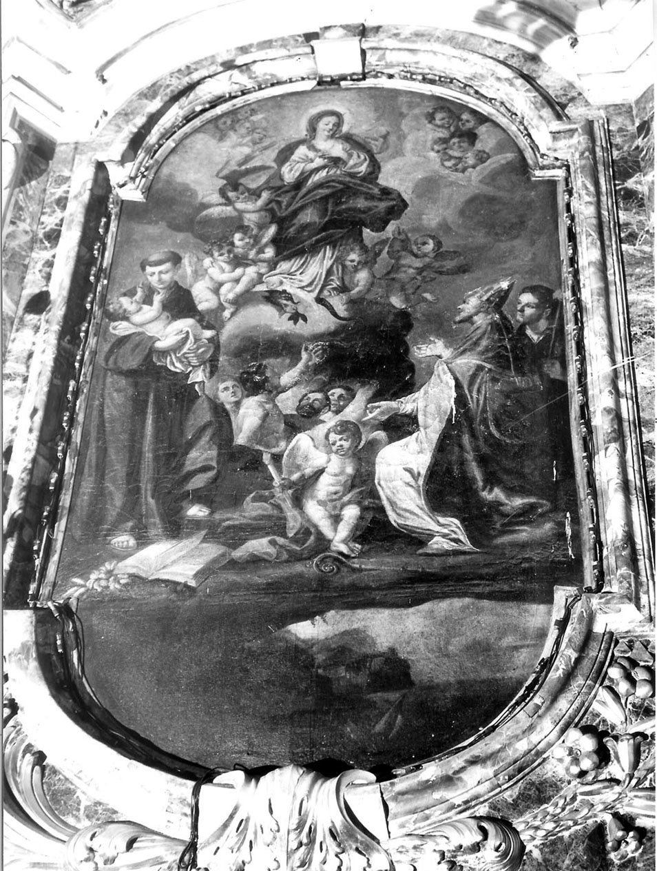Immacolata Concezione e santi (dipinto, elemento d'insieme) - ambito ligure (seconda metà sec. XVIII)