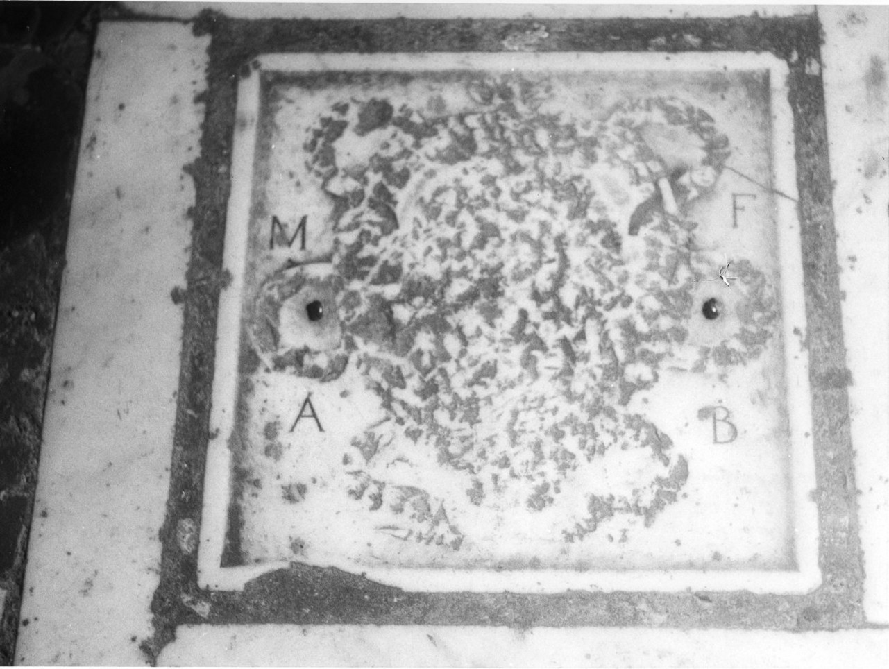 stemma (lapide tombale, opera isolata) - bottega italiana (secc. XVII/ XVIII)