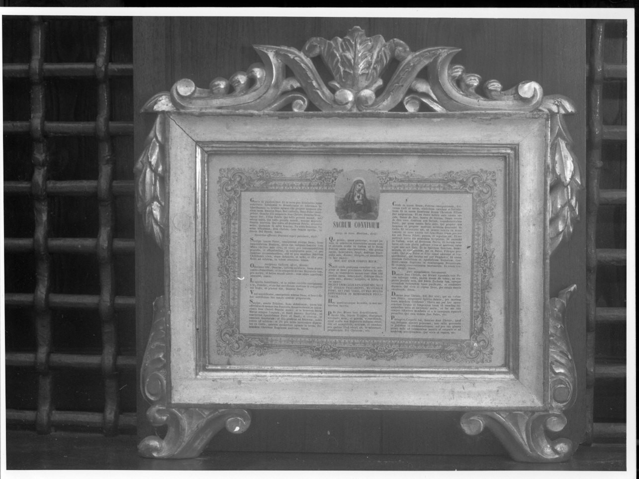 motivi decorativi vegetali (cartagloria, opera isolata) - bottega ligure (sec. XIX)