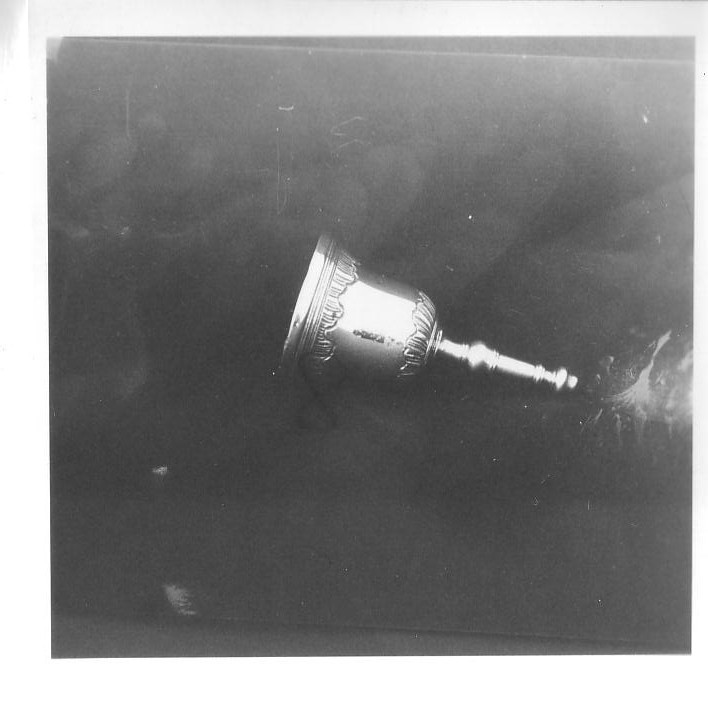 motivi decorativi vegetali (campanello, opera isolata) - bottega ligure (seconda metà sec. XVIII)