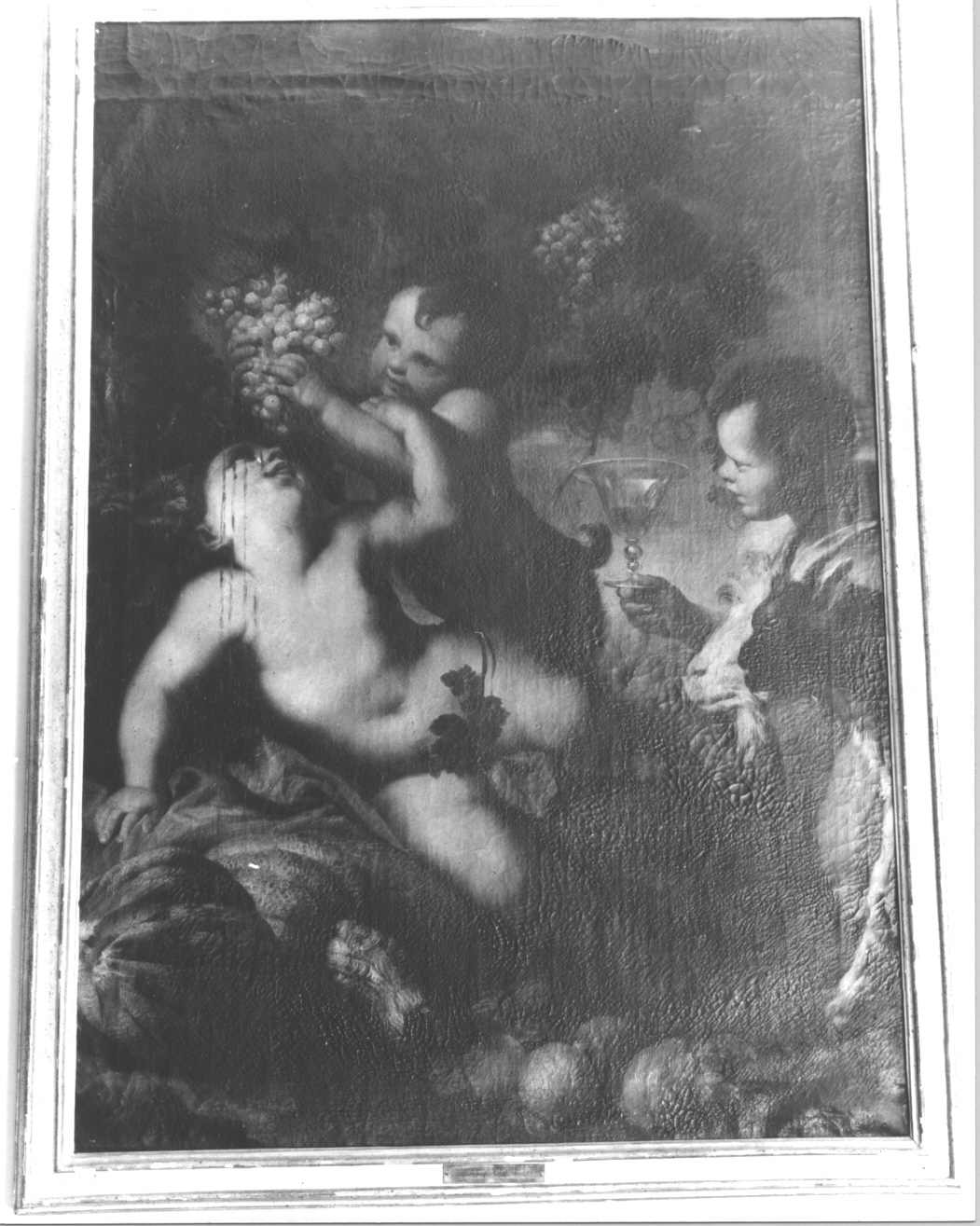 putti con grappoli d'uva e capra (dipinto, opera isolata) di Piola Domenico (attribuito) (secc. XVII/ XVIII)