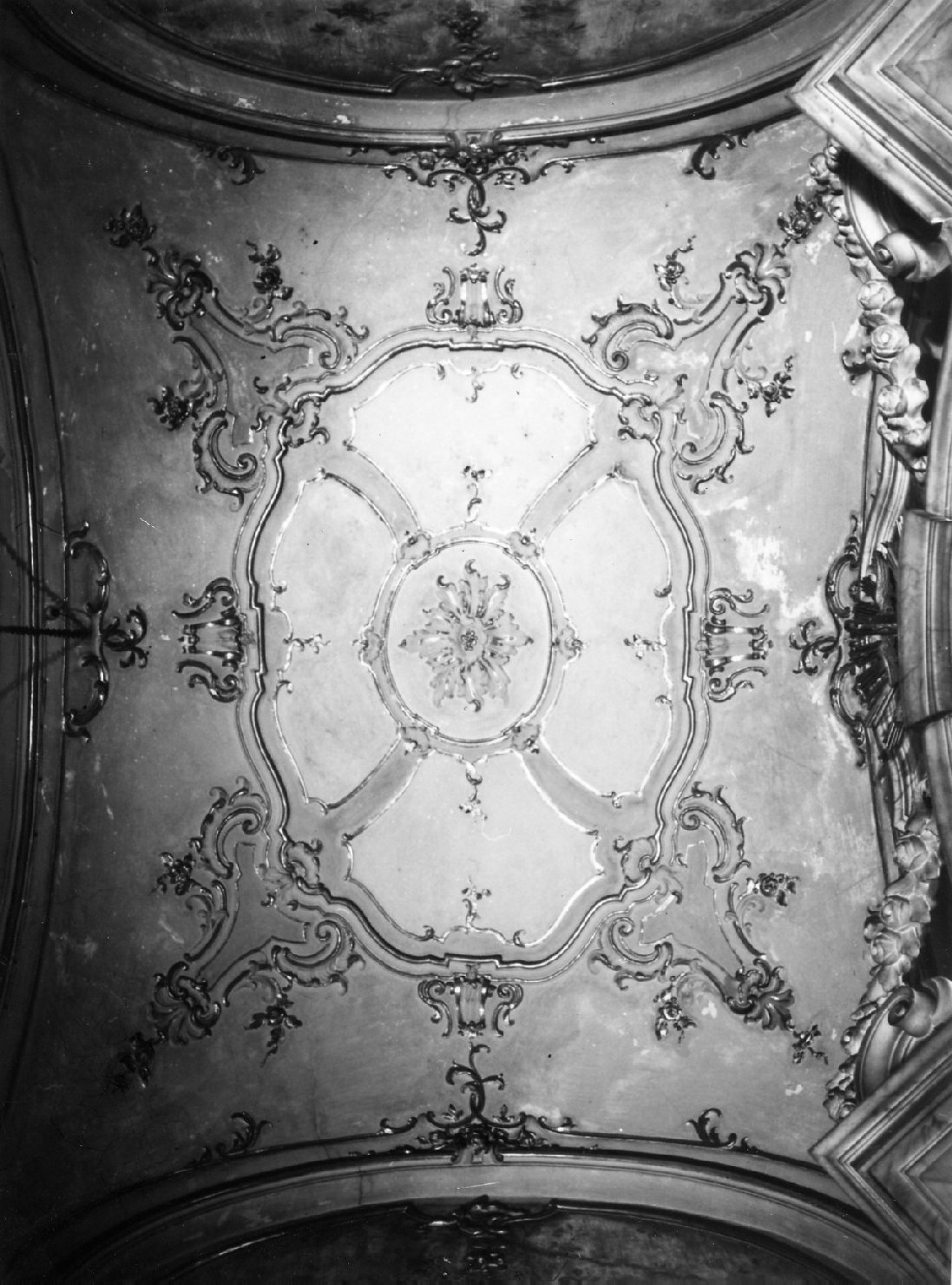 decorazione plastica, opera isolata - bottega genovese (sec. XVIII)