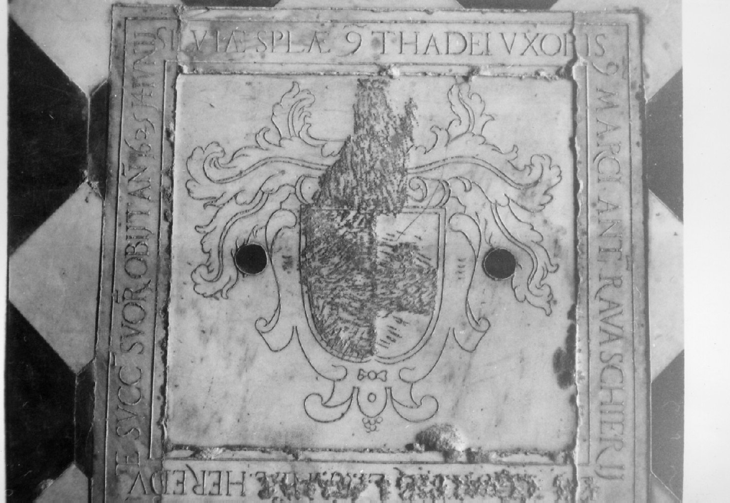 stemma (lapide tombale, opera isolata) - bottega ligure (sec. XVII)