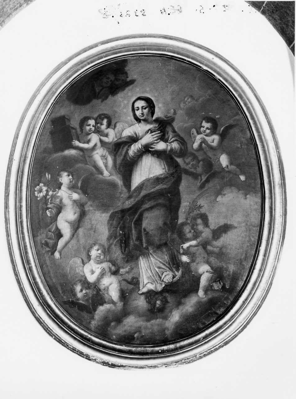 Madonna Immacolata (dipinto, opera isolata) - ambito italiano (sec. XVIII)