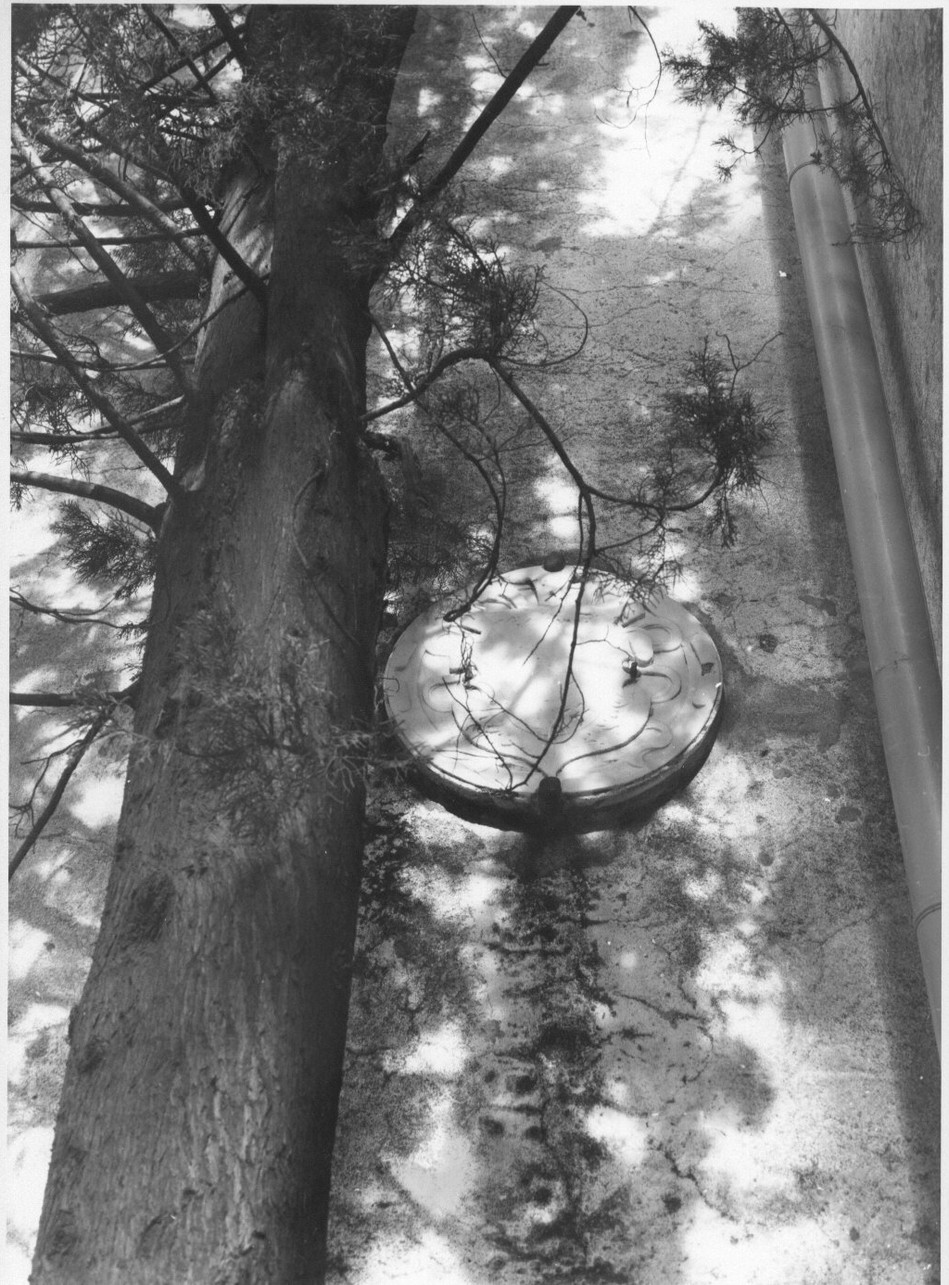 stemma (medaglione ornamentale, opera isolata) - bottega ligure (sec. XVIII)