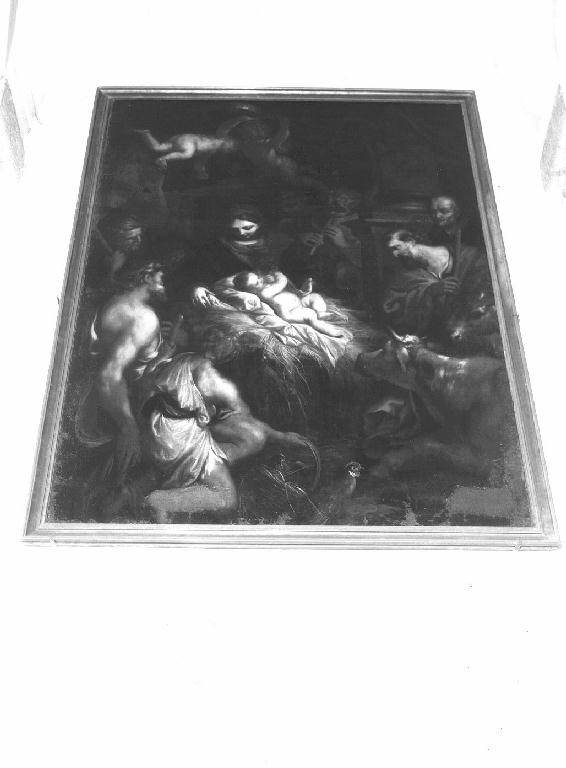 adorazione dei pastori (dipinto) di Piola Domenico (metà sec. XVII)