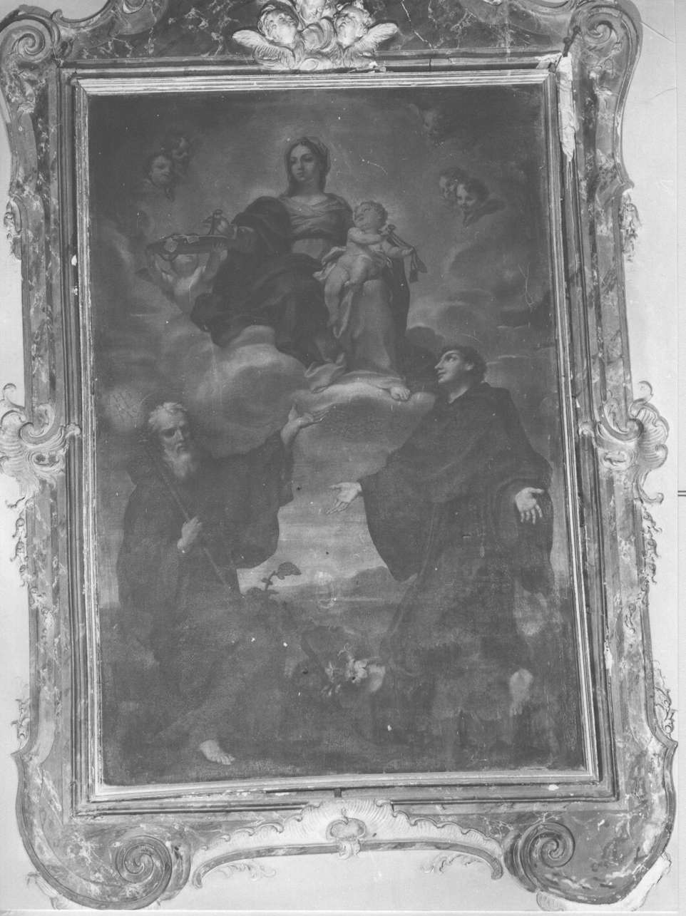 Madonna del Carmelo e angelo con Sant' Antonio e San Francesco di Paola (dipinto, opera isolata) di Piola Paolo Gerolamo (attribuito) (sec. XVIII)