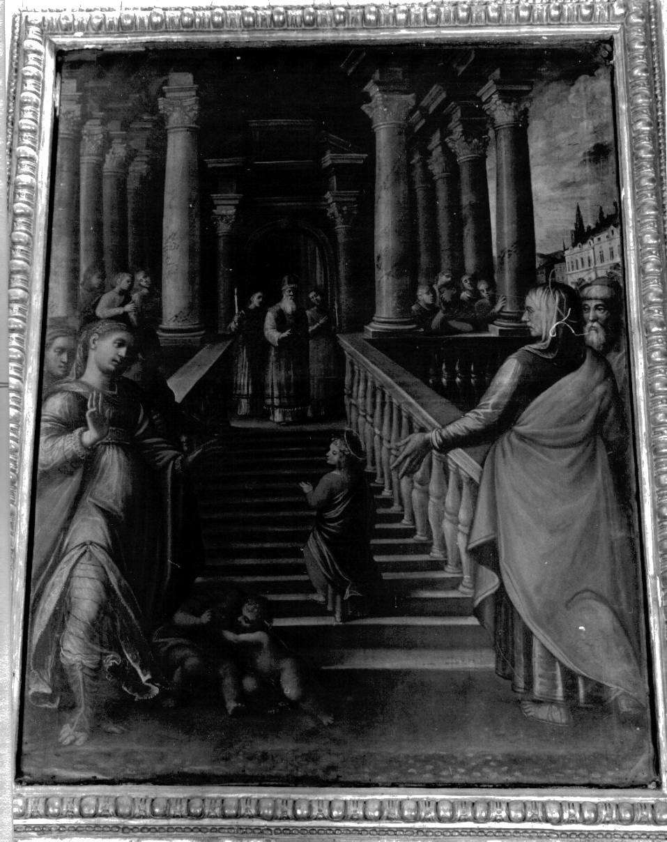 presentazione di Maria Vergine al tempio (dipinto, opera isolata) - ambito ferrarese (sec. XVII)