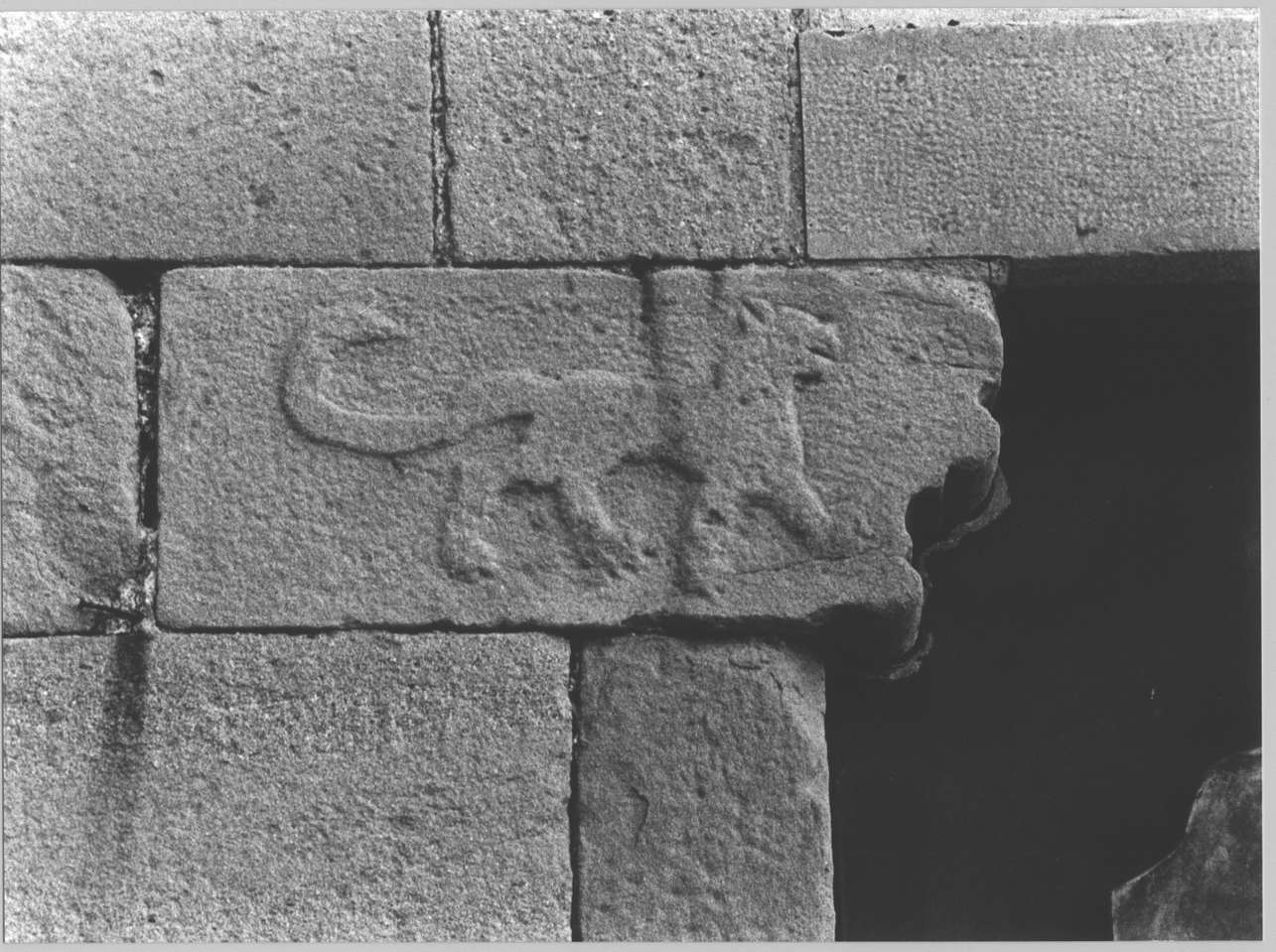 motivo decorativo zoomorfo (mensola, opera isolata) - bottega italiana (secc. VIII/ XII)