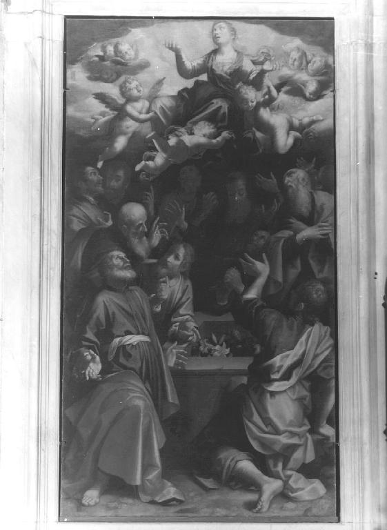 assunzione della Madonna (dipinto, opera isolata) di Lomi Aurelio (fine/inizio secc. XVI/ XVII)