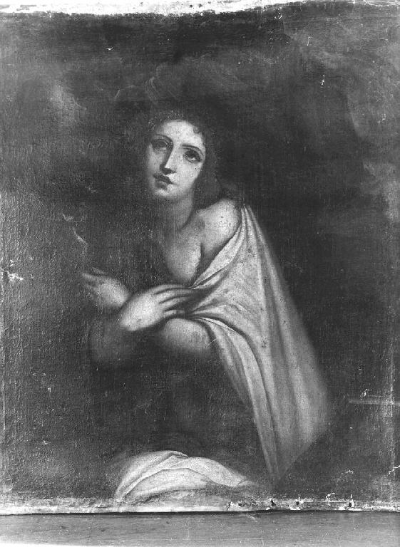 SANTA MARIA MADDALENA (dipinto, opera isolata) di Cambiaso Luca detto Luchetto (scuola) (secc. XVI/ XVII)