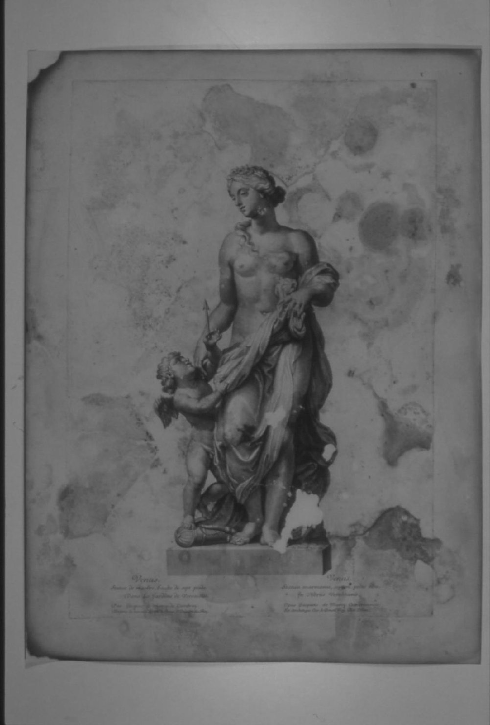 SCULTURA RAFF. VENERE (stampa) di Edelinck Jean, Lebrun Charles, Marsy Gaspard (sec. XVII)