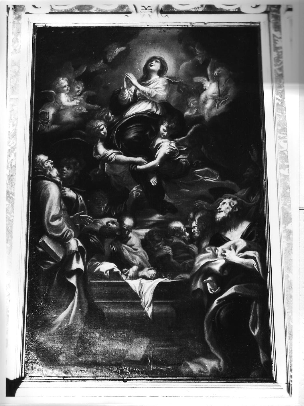 assunzione della Madonna (dipinto, opera isolata) di Piola Domenico (sec. XVII)