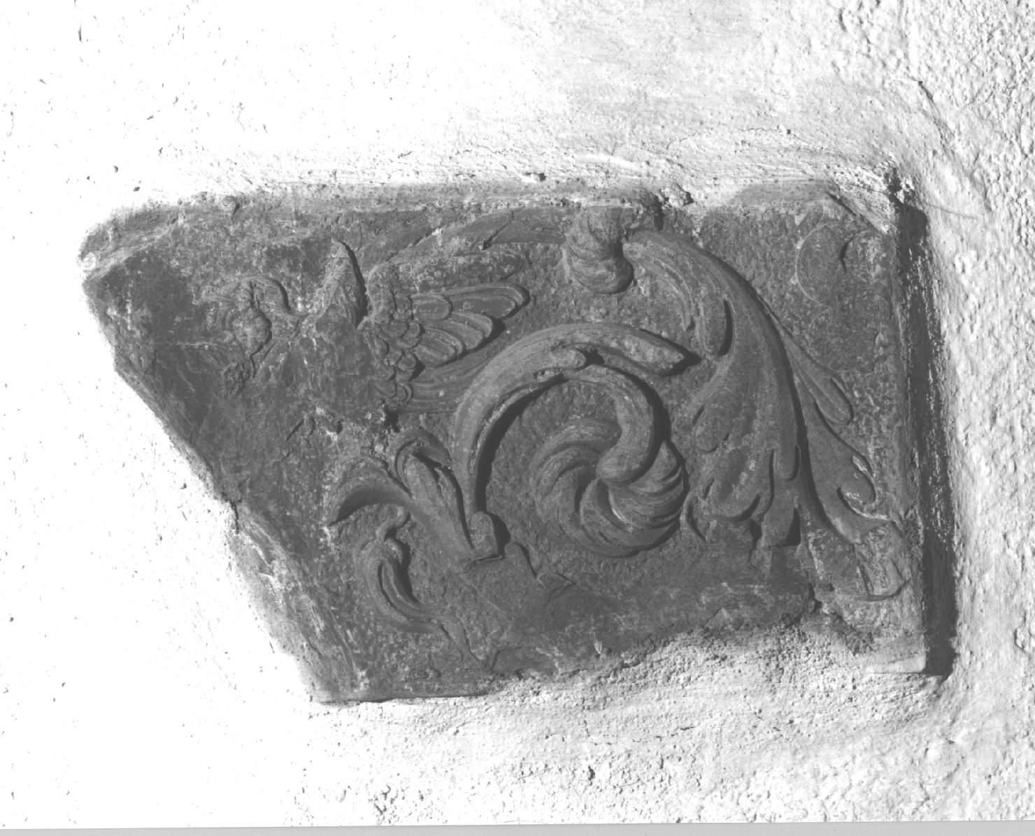 motivi decorativi vegetali/ uccello (rilievo, frammento) - bottega ligure (sec. XVI)