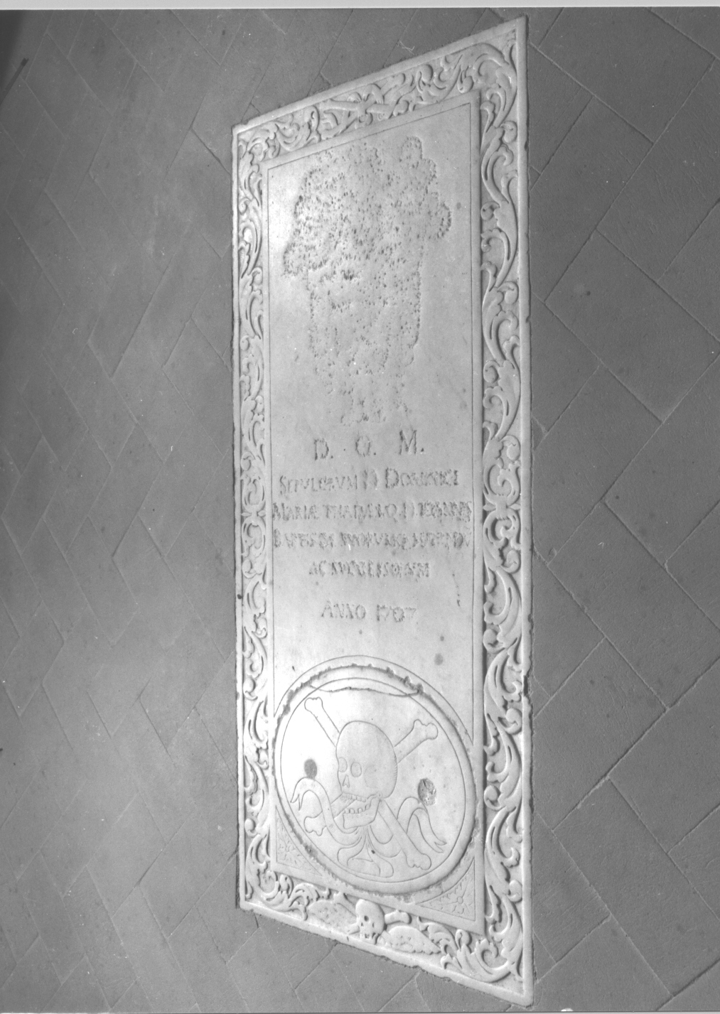 motivi decorativi a girali vegetali/ teschio (lapide, opera isolata) - bottega ligure (sec. XVIII)