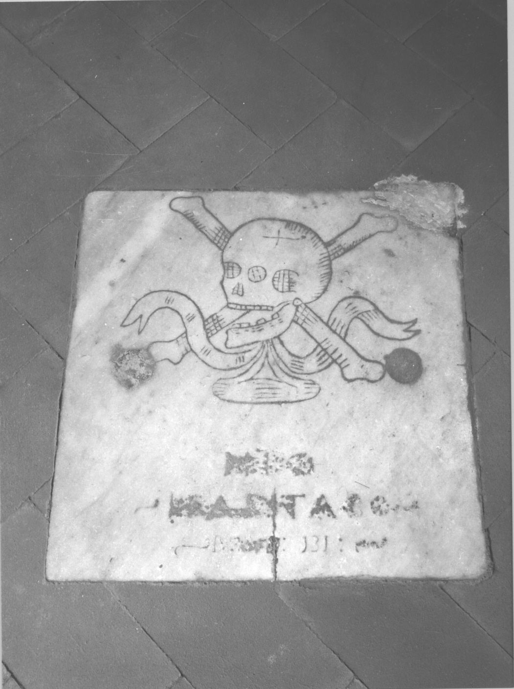 teschio (lastra tombale, opera isolata) - bottega ligure (secc. XVII/ XVIII)