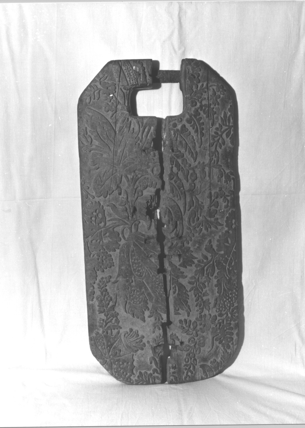 motivi decorativi vegetali e floreali (raganella, opera isolata) - bottega ligure (sec. XVII)