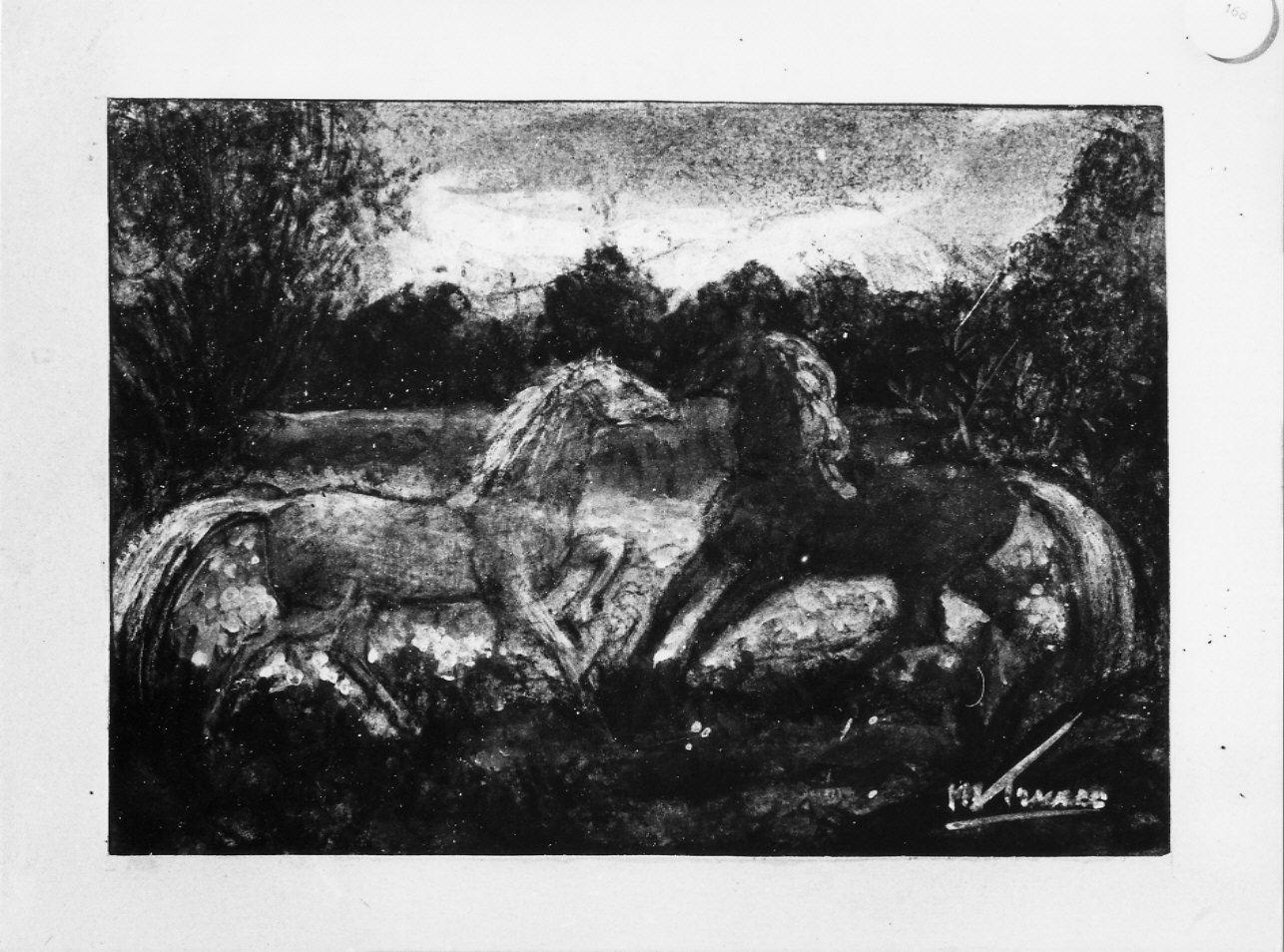 Cavalli, paesaggio con animali (disegno, opera isolata) di Trucco Manlio (sec. XX)