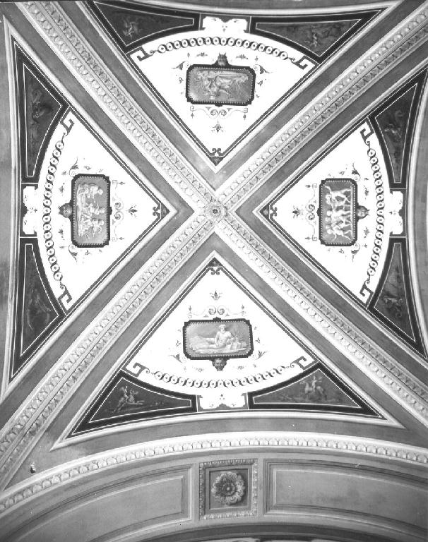 motivi decorativi a grottesche (dipinto, elemento d'insieme) di Isola Giuseppe (attribuito) (ultimo quarto sec. XIX)