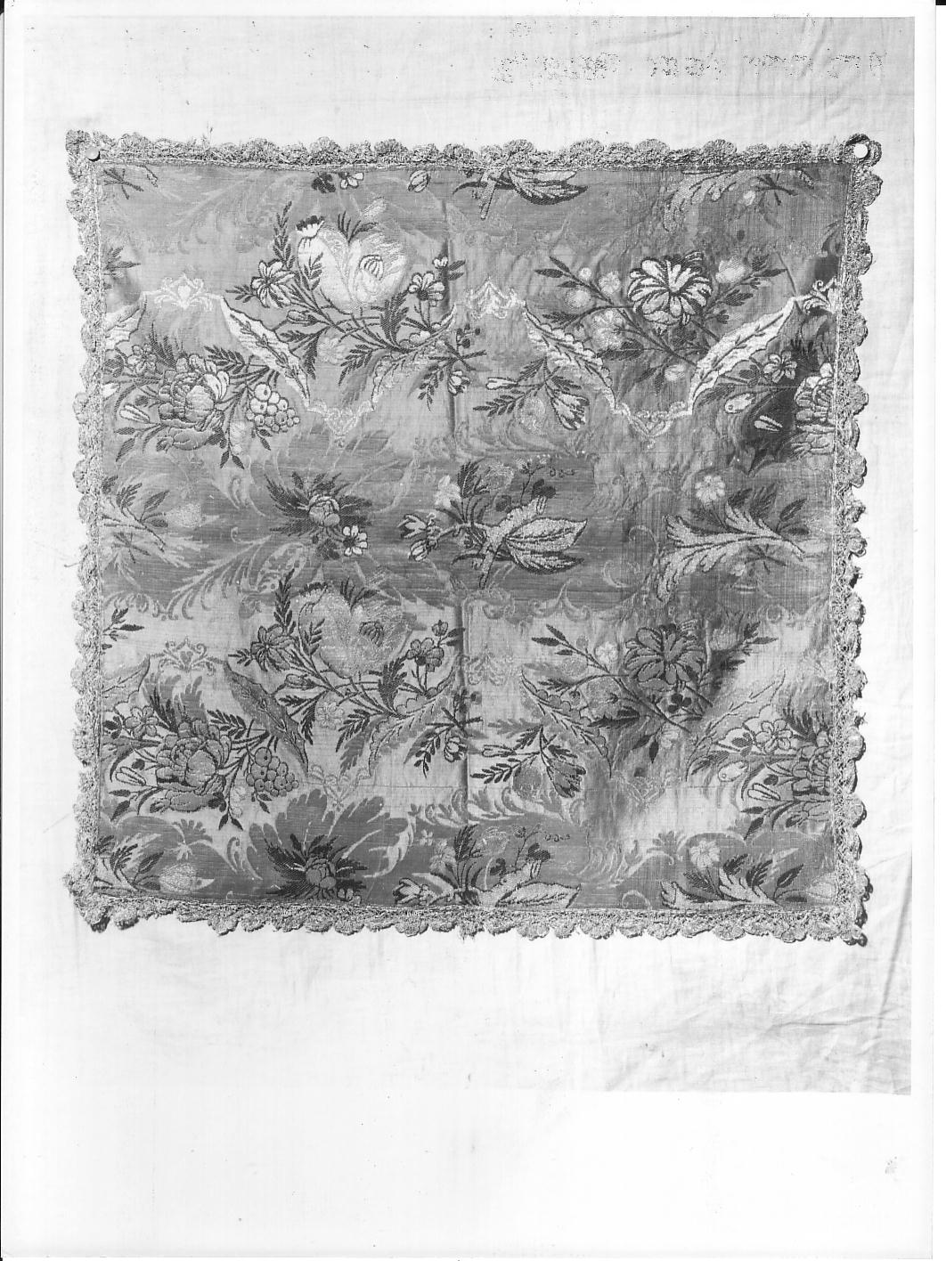 motivi decorativi vegetali (velo di calice, elemento d'insieme) - manifattura ligure (prima metà sec. XVIII)