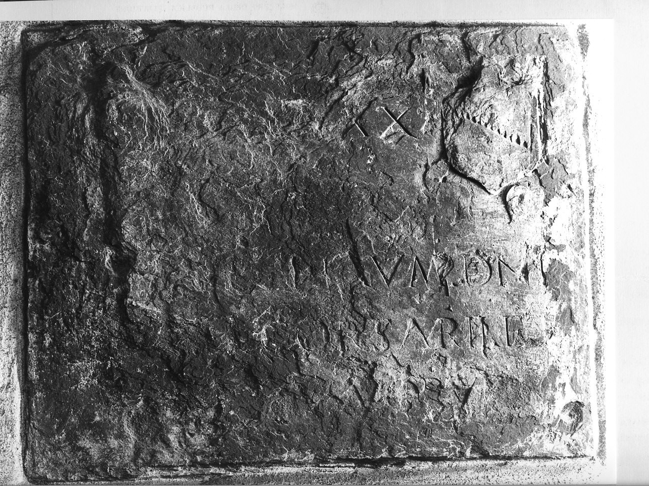 stemma (lapide tombale, opera isolata) - bottega italiana (sec. XV)