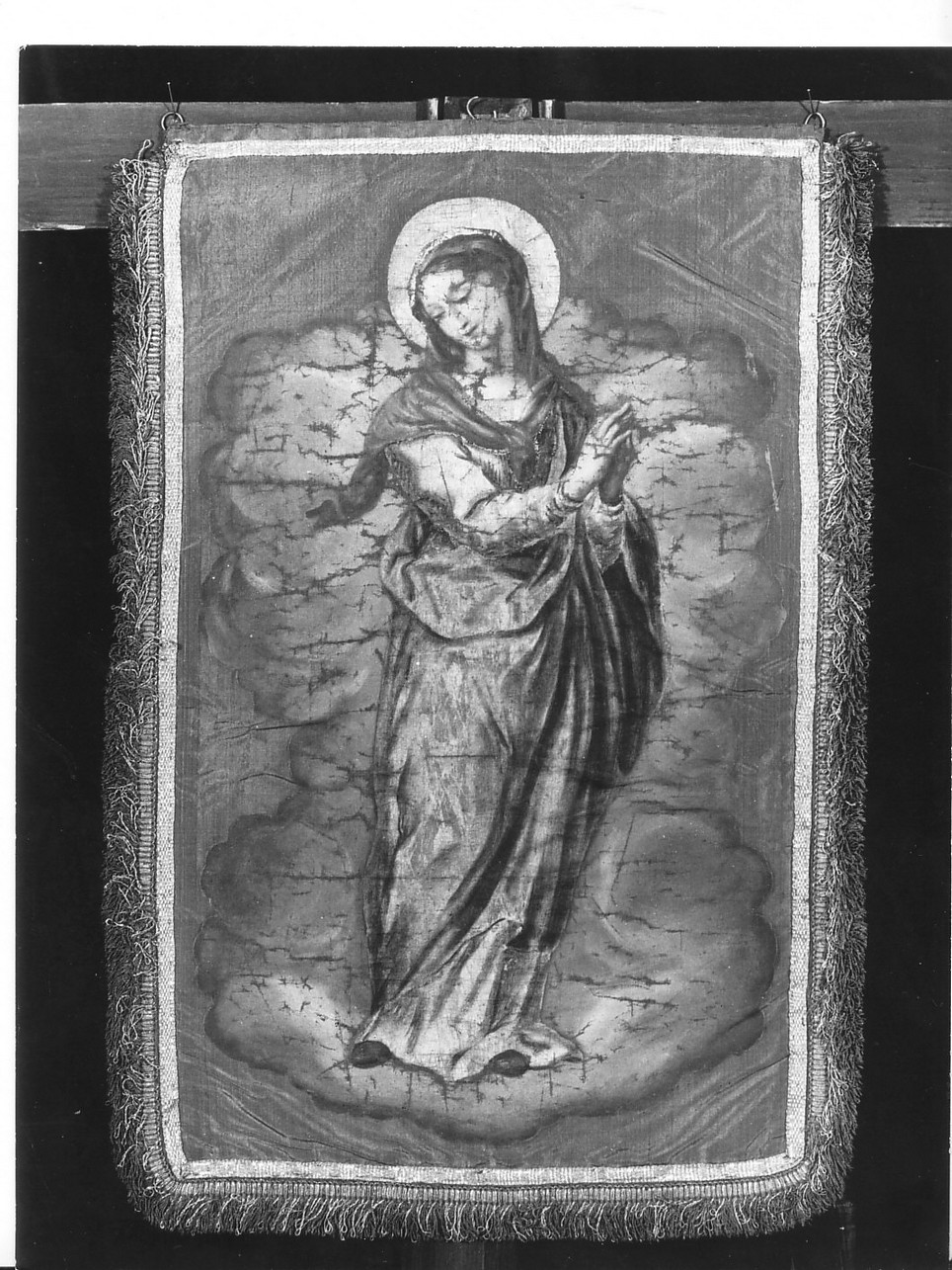 Madonna Assunta (lambrecchino di baldacchino, elemento d'insieme) di Piola Domenico (sec. XVII)