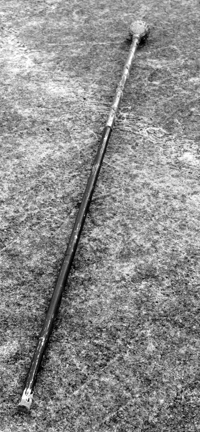 asta di baldacchino processionale, serie - bottega ligure (prima metà sec. XIX)