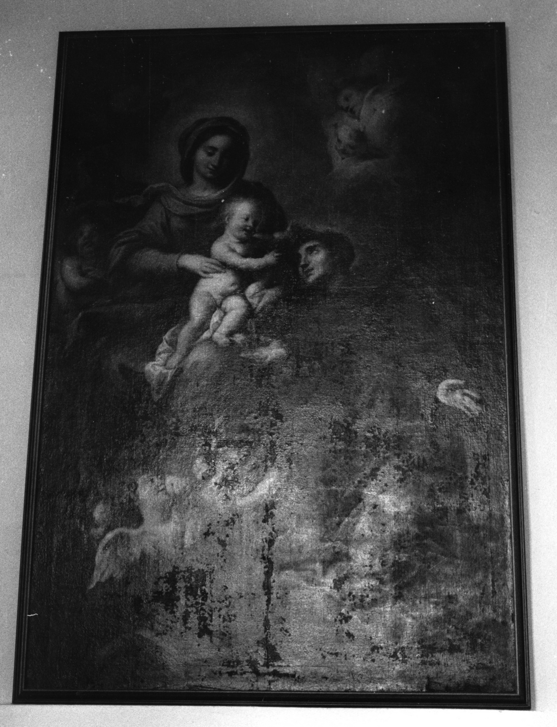 Madonna con Bambino e Sant'Antonio (dipinto, opera isolata) di Badaracco Giovanni Raffaele (ultimo quarto sec. XVII)