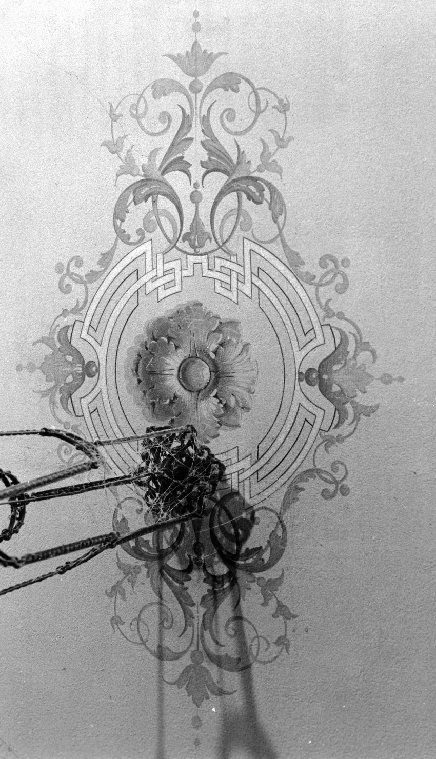 motivi decorativi geometrici e vegetali (decorazione pittorica) - ambito ligure (fine sec. XIX)