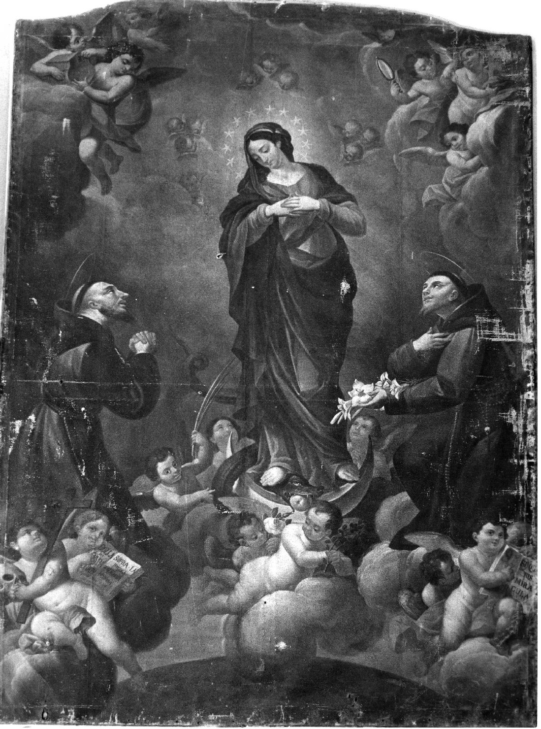 Madonna Immacolata e Santi (dipinto) di Oxilia Francesco (primo quarto sec. XIX)