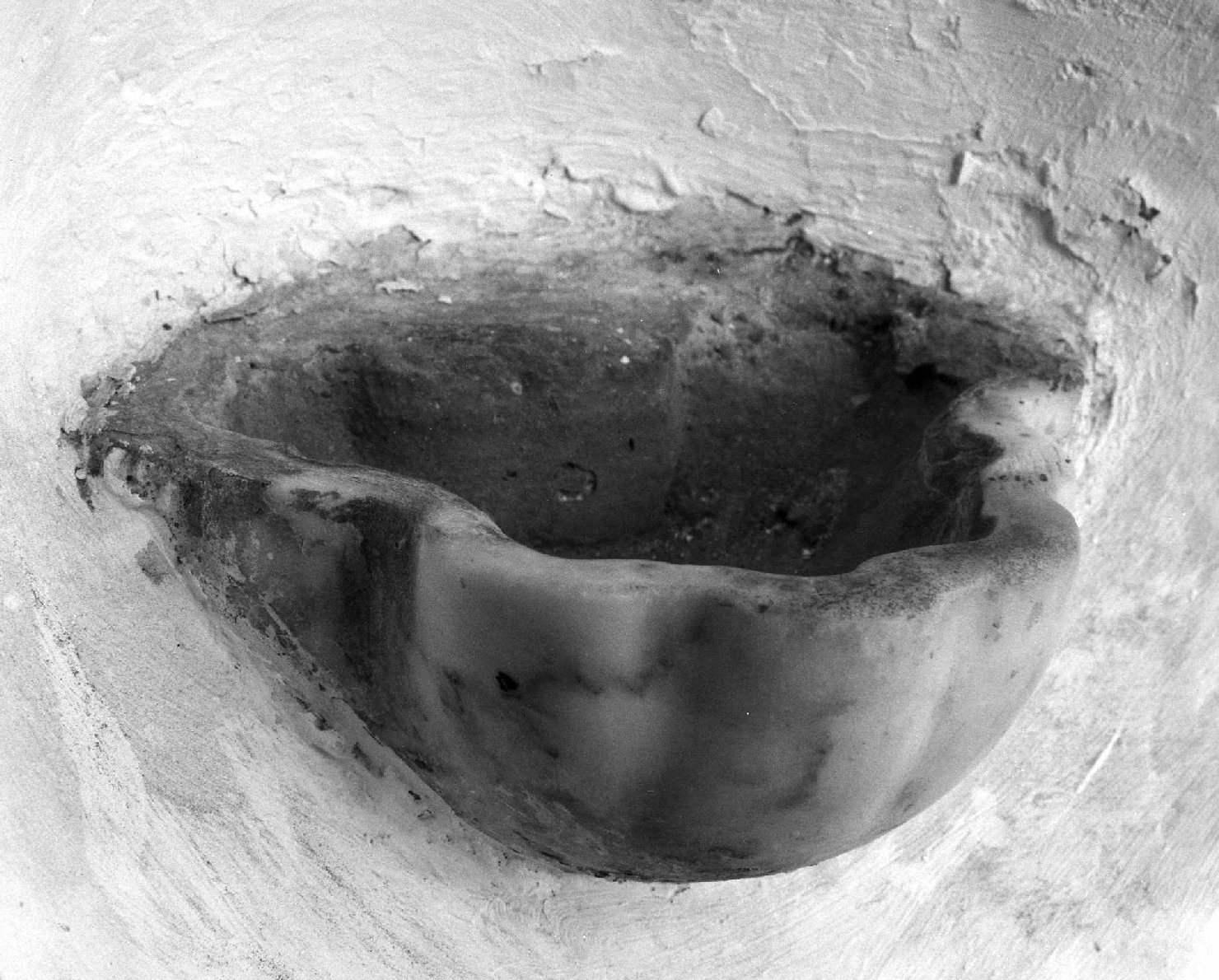 acquasantiera - a conchiglia - bottega ligure (seconda metà sec. XVIII)