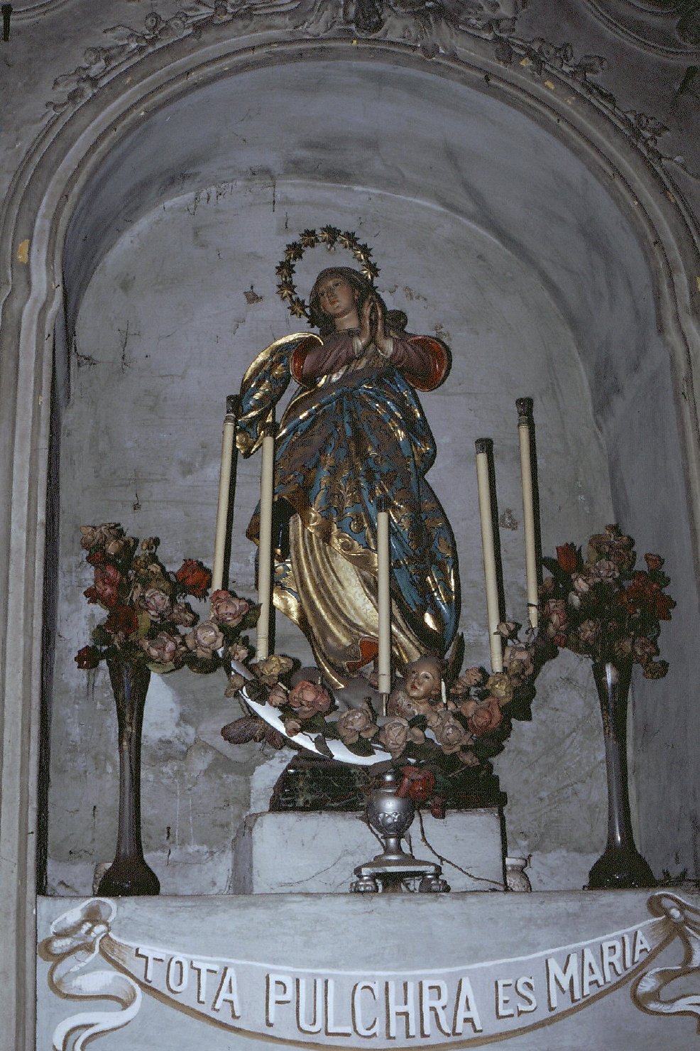 Madonna Immacolata (scultura, opera isolata) - bottega ligure (secondo quarto sec. XVIII)