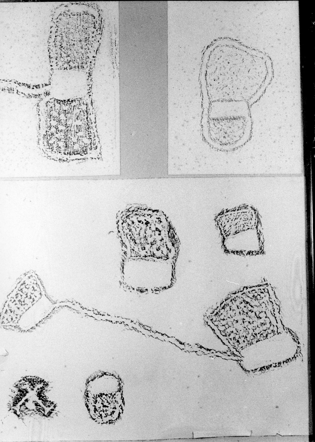 RECINTI (disegno) di Bicknell Clarence (attribuito) (secc. XIX/ XX)