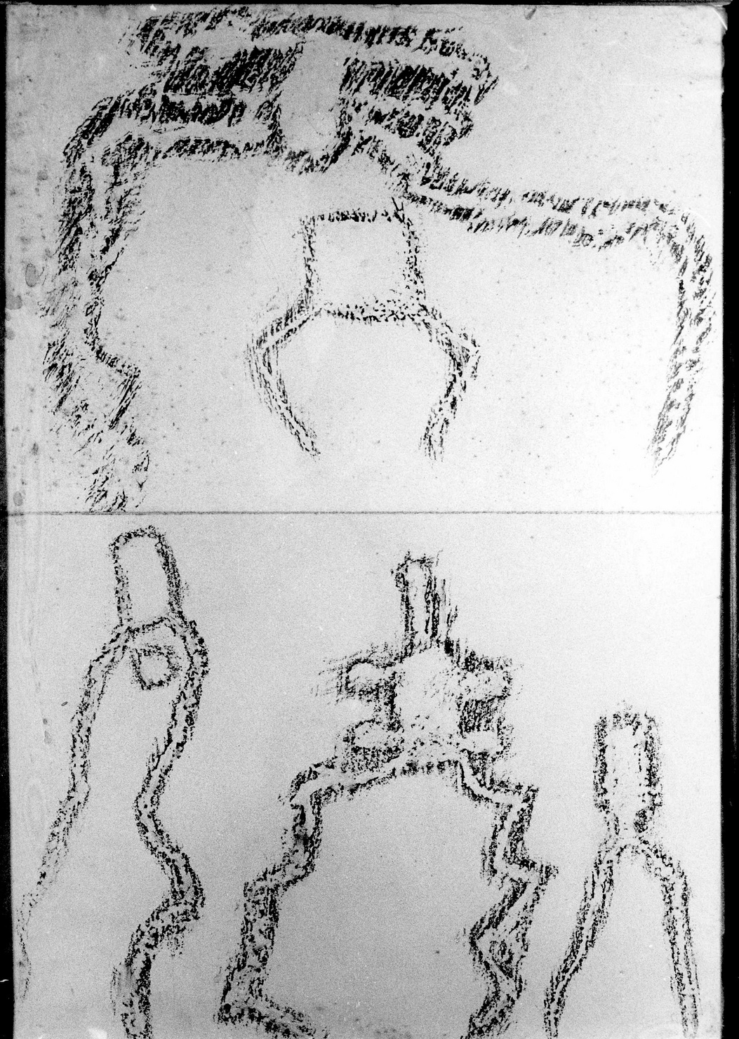 FIGURE ZOOMORFE (disegno) di Bicknell Clarence (secc. XIX/ XX)