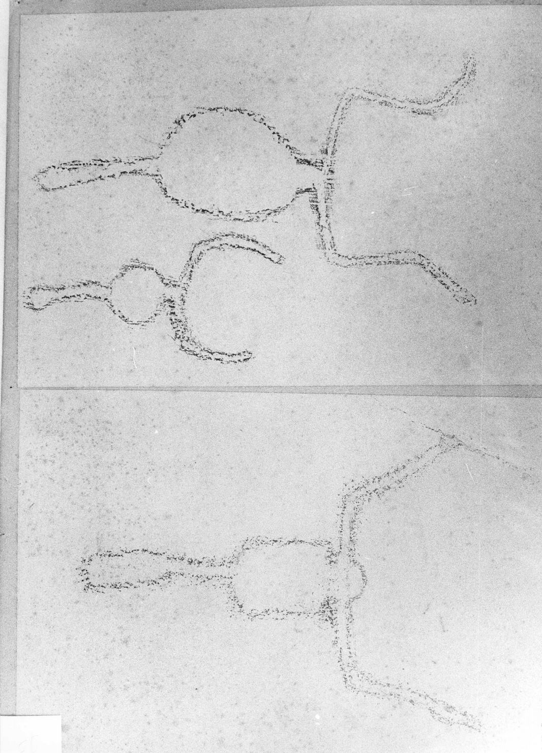 FIGURE ZOOMORFE (disegno) di Bicknell Clarence (attribuito) (secc. XIX/ XX)