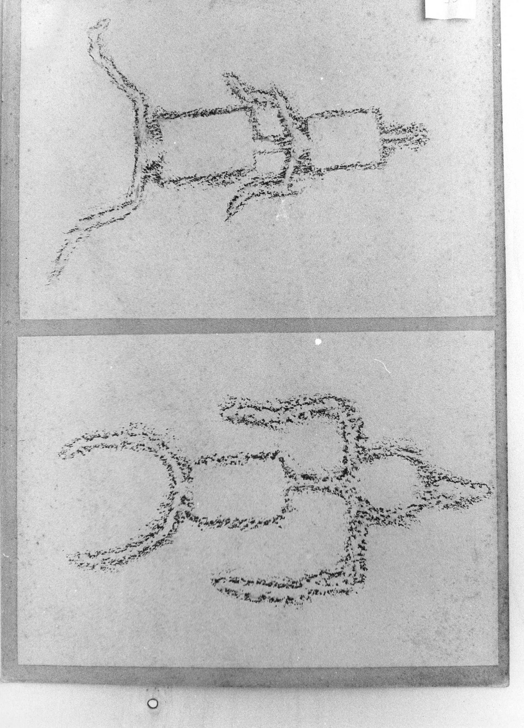 FIGURE ZOOMORFE (disegno) di Bicknell Clarence (attribuito) (secc. XIX/ XX)