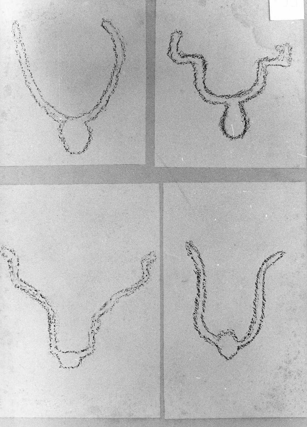 FIGURE ZOOMORFE (disegno) di Bicknell Clarence (attribuito) (secc. XIX/ XX)